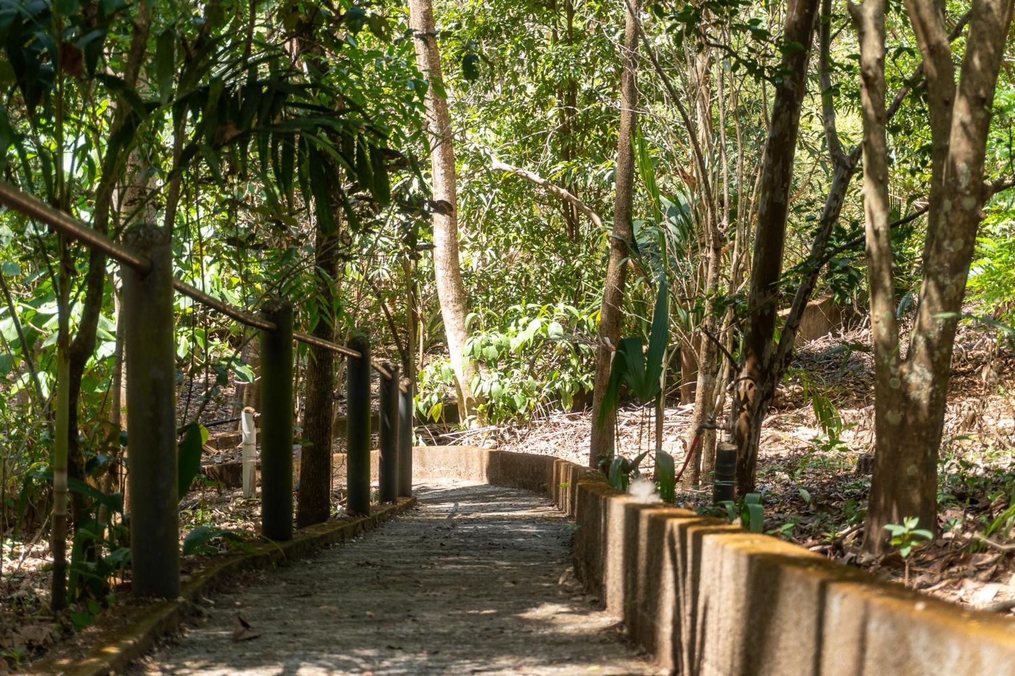 Hostal Delmy Suchitoto ภายนอก รูปภาพ